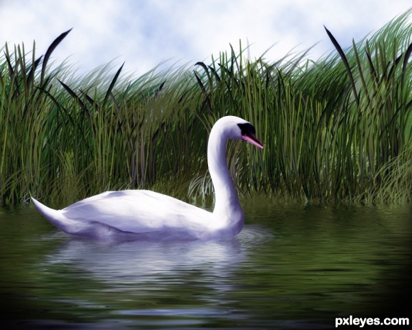 Creation of Swan: Final Result